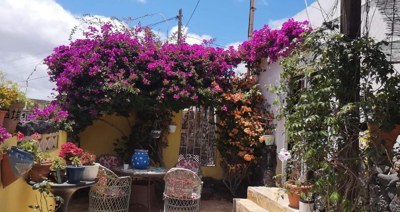 Casa De Gato Rustic Finca Tahiche Bagian luar foto